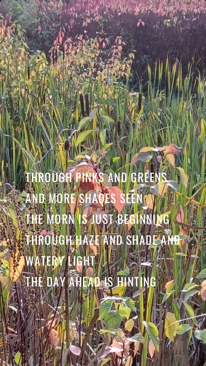 Through pinks and greens and more shades seen
The morn is just beginning 
Through haze and shade and watery light
The day ahead is hinting