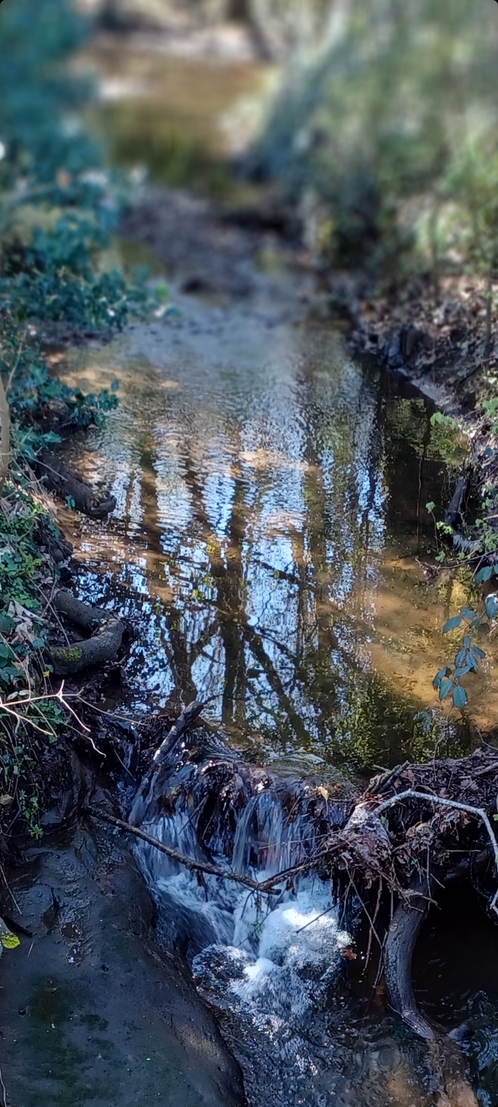 Wish Upon a&nbsp;Waterfall