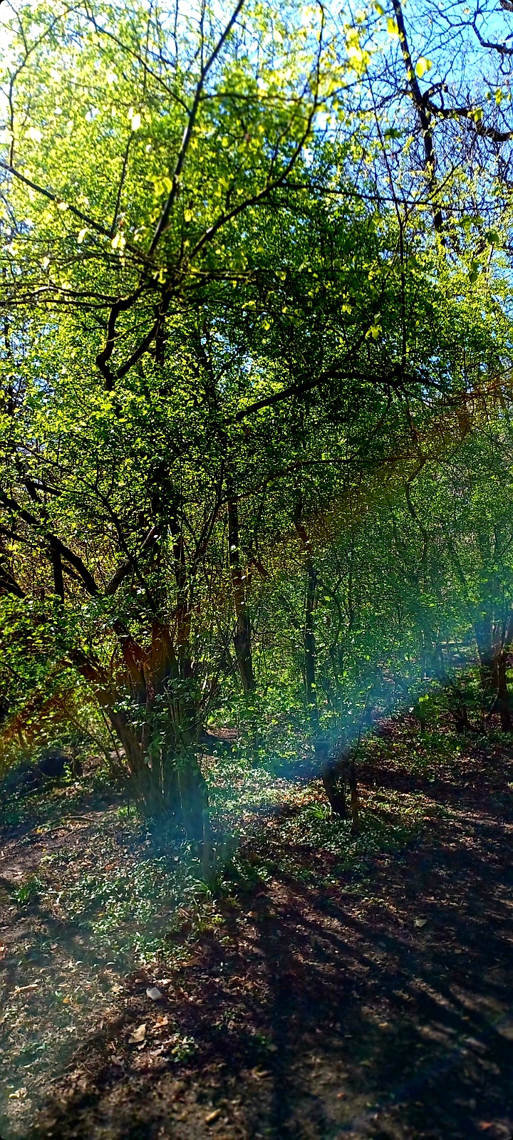 By The End Of The&nbsp;Rainbow