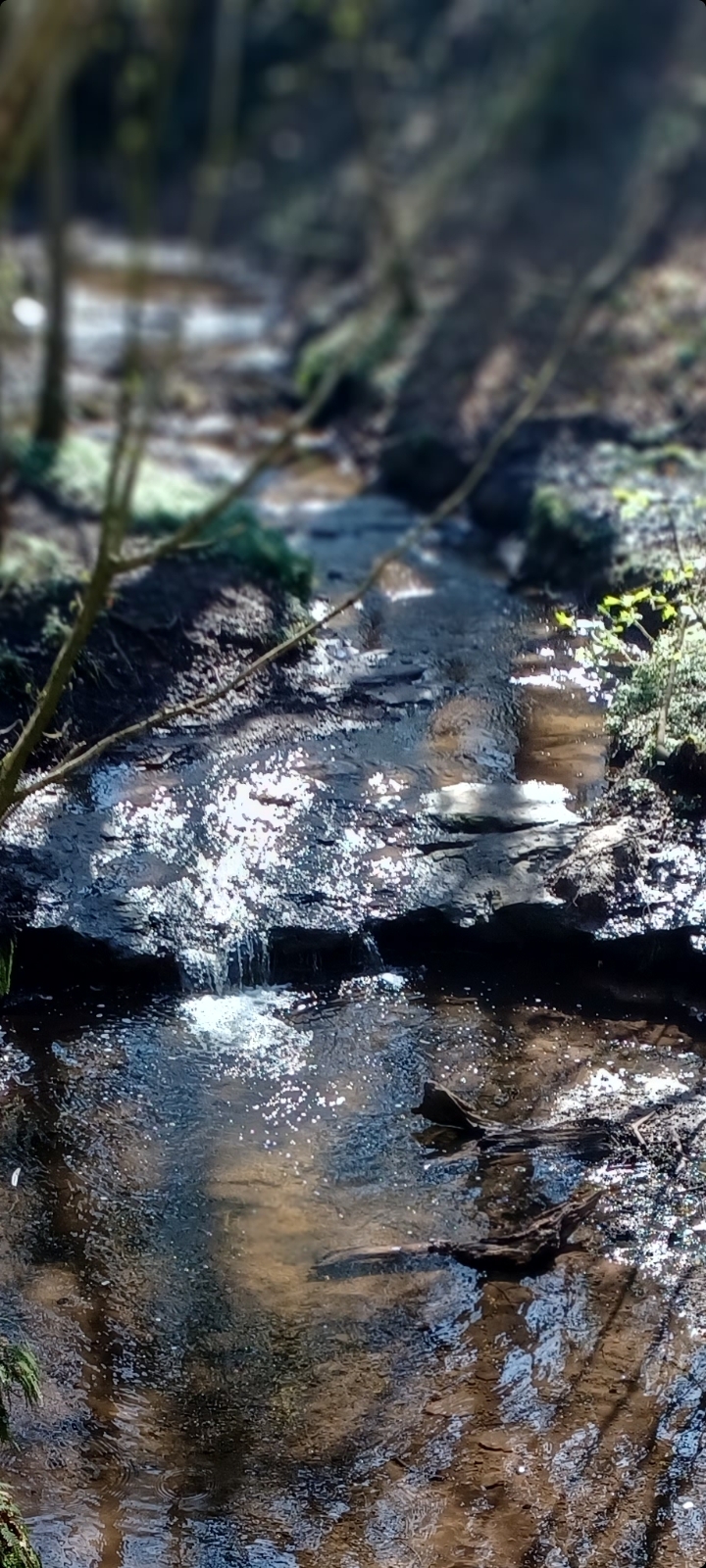 The Lady of the&nbsp;Water