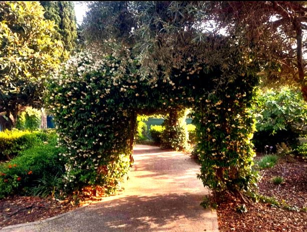 The Unicorn Challenge: The&nbsp;Portal