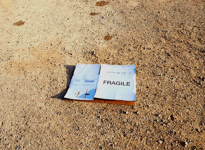 The Unicorn Challenge: Paperwork