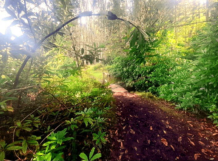 The Unicorn Challenge: The Expedition