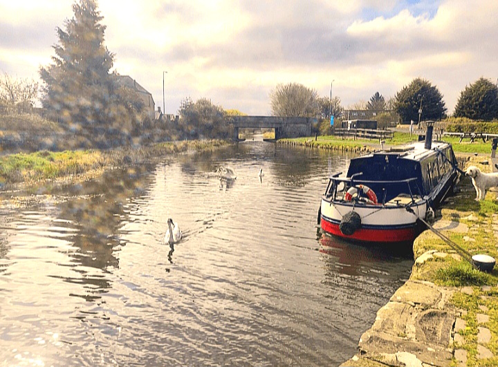 The Unicorn Challenge: Abstract on a&nbsp;Canal