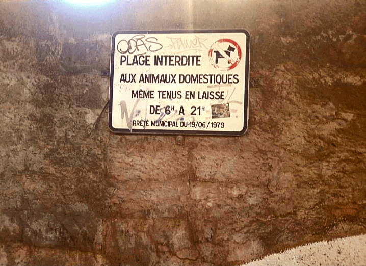 The Unicorn Challenge: The Authority of Animal&nbsp;Catchers